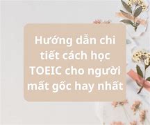 Cách Học Toeic Cho Người Mất Gốc