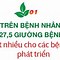 Công Ty Cổ Phần Quốc Tế Vital Health