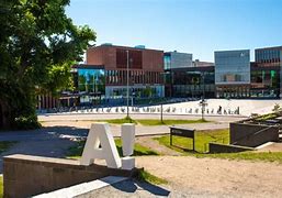 Học Bổng Toàn Phần Aalto University 2024 Master Application