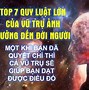 Luật Hấp Dẫn Của Vũ Trụ