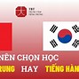 Nên Học Tiếng Trung Hay Tiếng Hàn Dễ Xin Việc Hơn Không