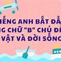 Nghề Nghiệp Bắt Đầu Bằng Chữ B